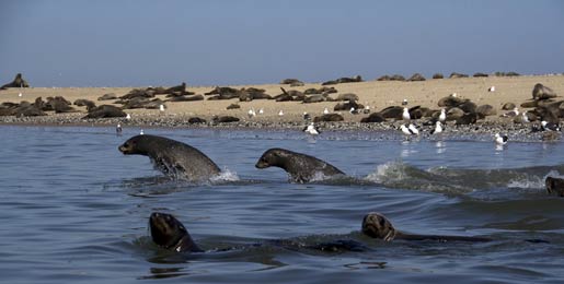 Location de motorhome Walvis Bay